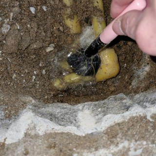 수원누수탐지 #4